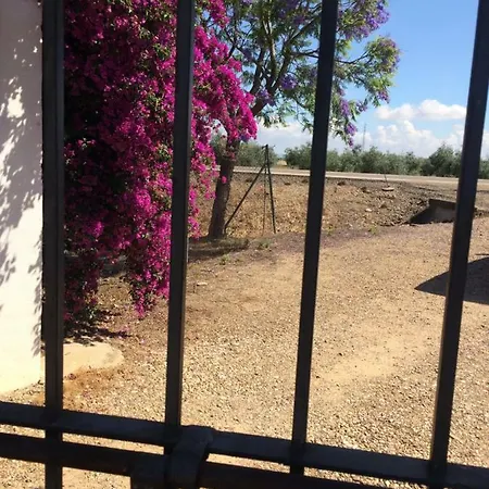 Huerta Los Naranjos * Cordoba