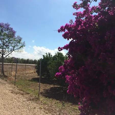 Country house Huerta Los Naranjos Cordoba
