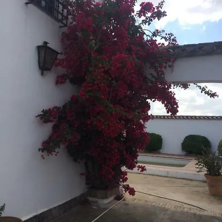 Huerta Los Naranjos * קורדובה
