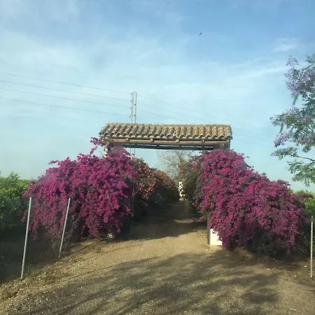 Huerta Los Naranjos Casa de Campo *